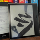 Kindle Oasis vs Paperwhite: What’s the Right E-Reader for You?